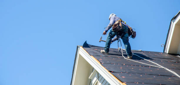 Best Roof Gutter Cleaning  in Pearl, MS